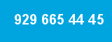 929 665 44 45